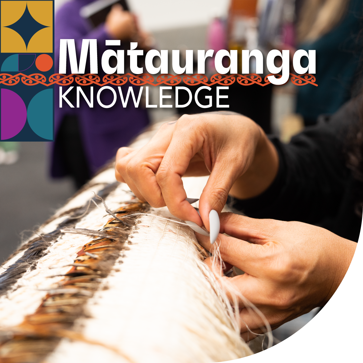 AkoArarau 2025 Feature_Mātauranga